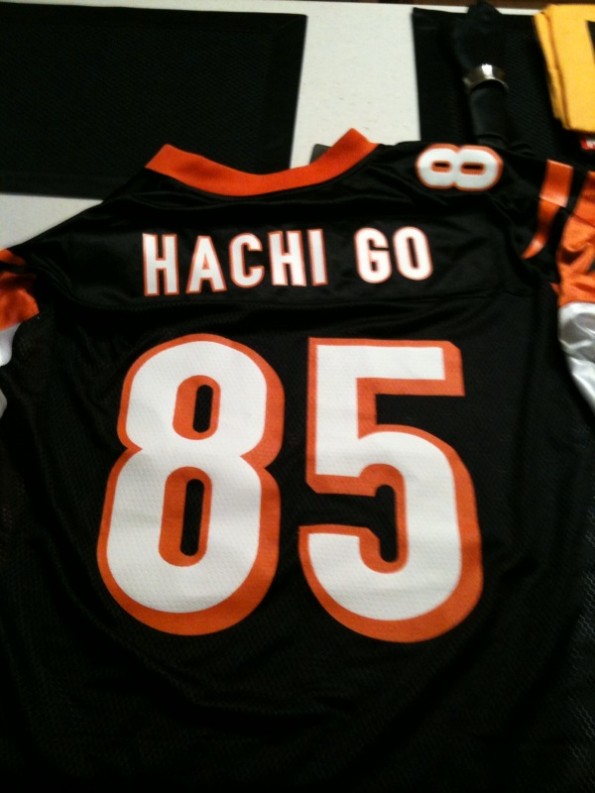 Chad Hachi Go