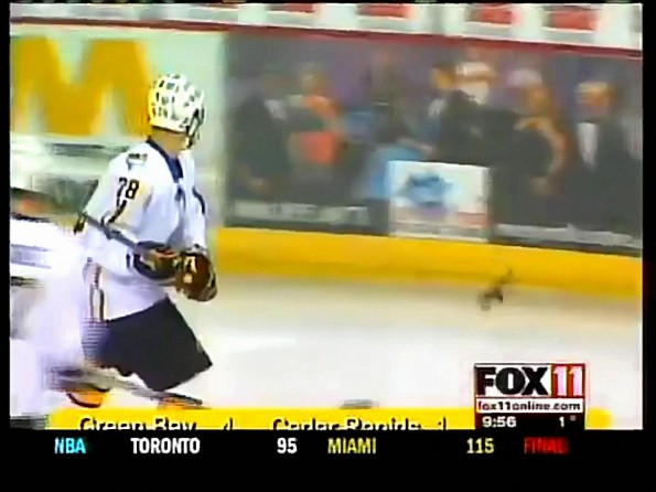 Hockey Player Kills Bat During Game