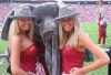 http://www.totalprosports.com/wp-content/uploads/2010/01/Crimson-Tide-Girls-11-520x353.jpg