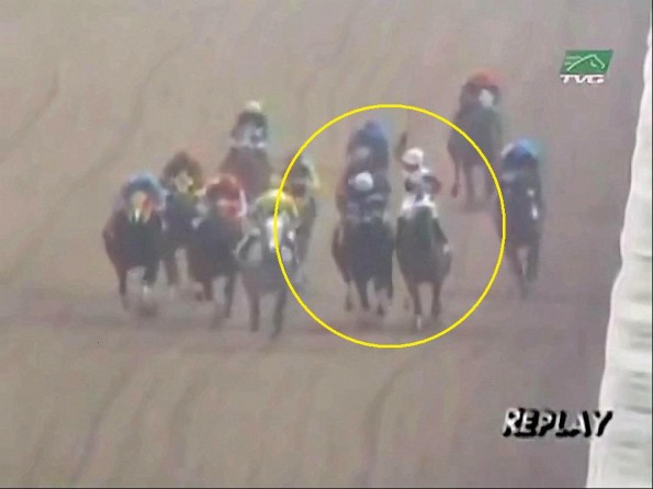 Jockeys Fight on Horses During Race