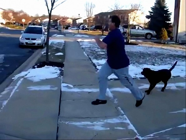 Ravens Fan Runs Through Electric Dog Fence In Celebration