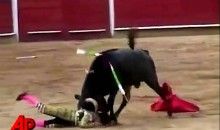 12 Year-Old Bullfighter Gored in Ring