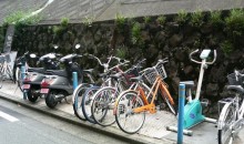 Picture Of The Day: One Of These Things Doesn’t Belong