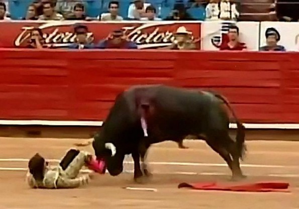 12-Year-Old Grabs Bull By The Horns