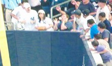 Yankees Fan On Cell Phone Takes Ball To The Face