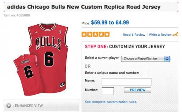 lebron james bulls jersey