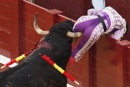 Spanish Bull Fighter Pedro Muriel Gored Where It Hurts