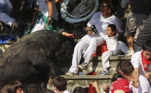 bull leaps into crowd 2