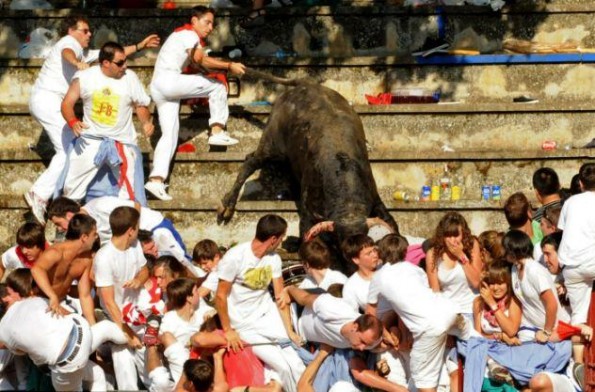 bull leaps into crowd 3
