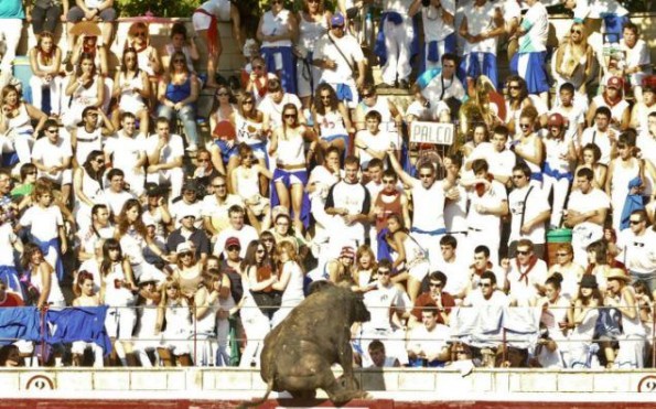 bull leaps into crowd 4