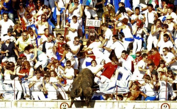bull leaps into crowd 5