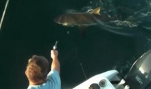 In Honor Of Shark Week, How To Pop A Cap In A Shark’s Head (Video)