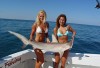 http://www.totalprosports.com/wp-content/uploads/2010/10/Hot-Girls-Fishing-1-520x390.jpg