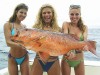 http://www.totalprosports.com/wp-content/uploads/2010/10/Hot-Girls-Fishing-6.jpg