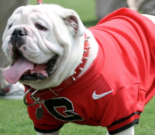UGA -Georgia