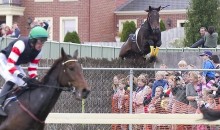Race Horse Goes Wild, Jumps Fence And Crushes Spectators (Video)