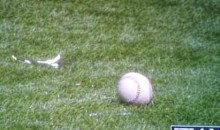 It Was Raining Glass In Tropicana Field Last Night (Video)