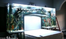 Chad Ochocinco’s Headboard Is A Giant Aquarium (Pics)