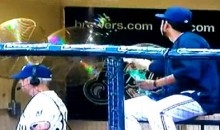 It Was Raining Sunflower Seeds In The Brewers’ Dugout (Video)