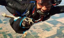 Picture Of The Day: Skydiving Pug Has More Exciting Life Than You