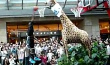Dwight Howard Dunks On A Giraffe (Video)
