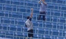 Blue Jays Fans Take Part In Entertaining Hunt For Hidden Foul Ball (Video)