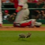 busch stadium squirrel