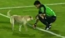 Dog Won’t Get Off The Field During Copa Sudamericana Match (Video)