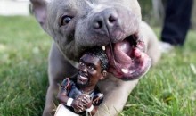 Picture Of The Day: Chew On Vick