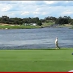 John Daly Australian Open Meltdown