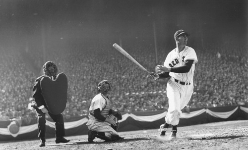 ted williams