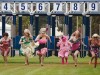 http://www.totalprosports.com/wp-content/uploads/2011/12/Thats-not-a-horse-race1-546x410.jpg