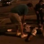 dolphins fan knocked out