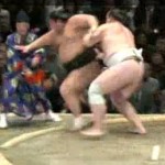 sumo referee ko'd