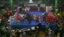Argentine Boxing Match Ends In Massive Chair-Throwing Brawl (Video)