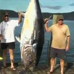 nathan adams blluefin tuna