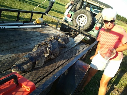 al miller attacked by 9 ft alligator al miller attacked by 9 ft alligator