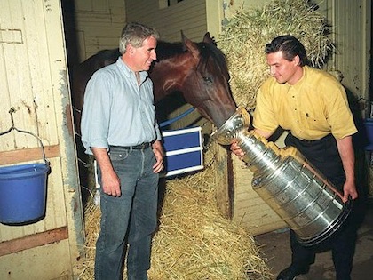 stanley cup feeding horse stanley cup feeding horse