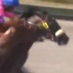 race horse tries to bite competitor