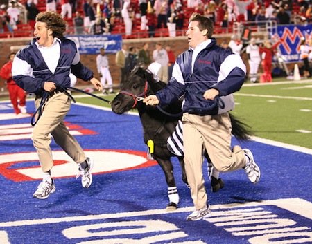 21 southern methodist smu mascot peruna viii 21 southern methodist smu mascot peruna viii