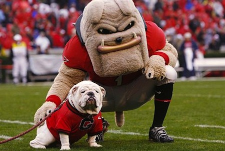 9 georgia bulldogs uga viii 9 georgia bulldogs uga viii