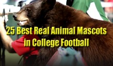 25 Best Real Animal Mascots in College Football