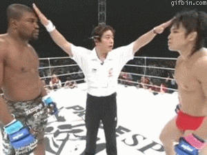 http://www.totalprosports.com/wp-content/uploads/2012/09/mma-ref-pats-fighters-crotches-packages.gif