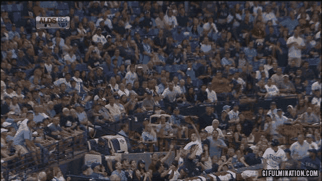 rays fan not paying attention surpsied by foul ball baseball fan gifs
