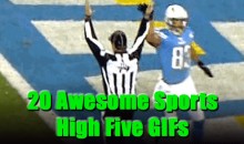 20 Awesome Sports High Five GIFs