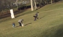 Eagle Tries to Snatch Kid from Montreal Park (Video)