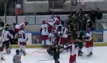 Epic Hockey Bench Brawl Between Huntsville Havoc and Mississippi Surge of the SPHL (Video)