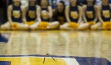 Bat Wreaks Havoc at Marquette-Providence Basketball Game (Video + GIF)