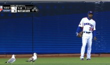 Seagulls Crashed Last Night’s World Baseball Classic Semi-Final at AT&T Park (Video)