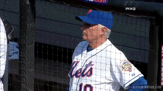 TERRY-COLLINS-ducks-for-cover.gif